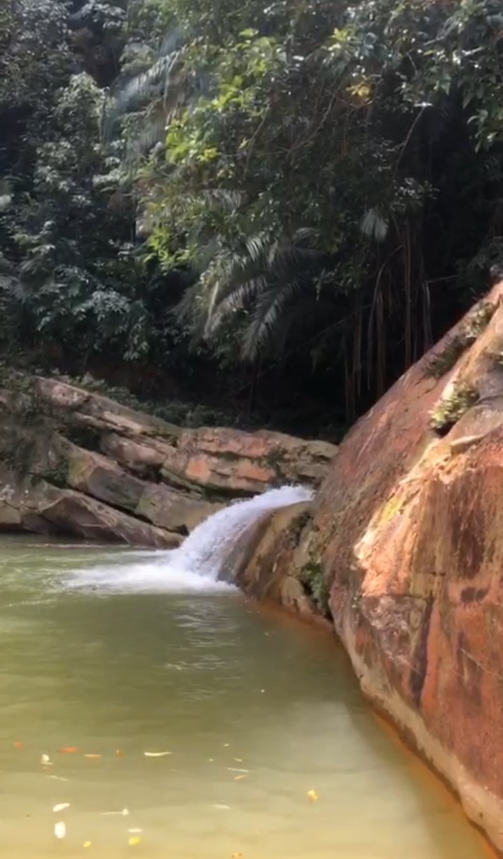 Screenshot 2021-04-06-10-24-24-97 2